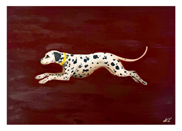 Perrito – Rennender Dalmatiner