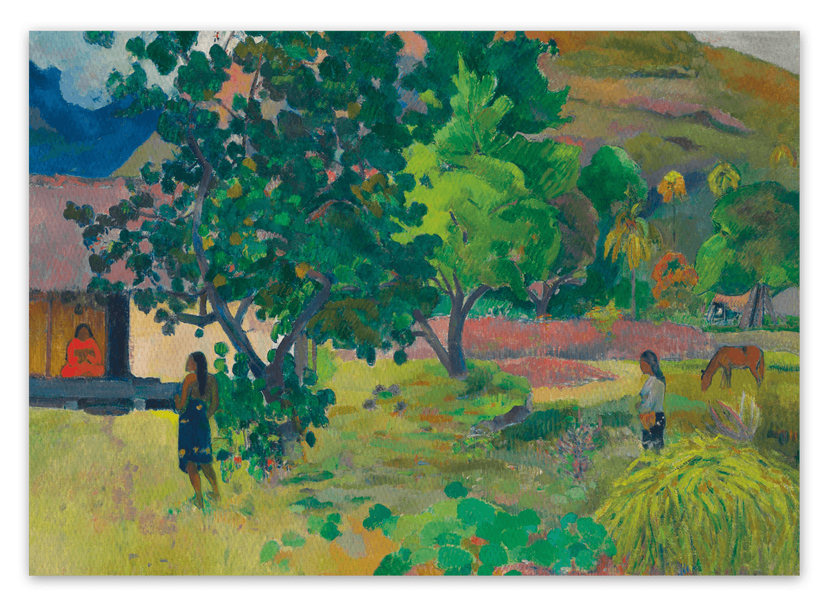 canvas