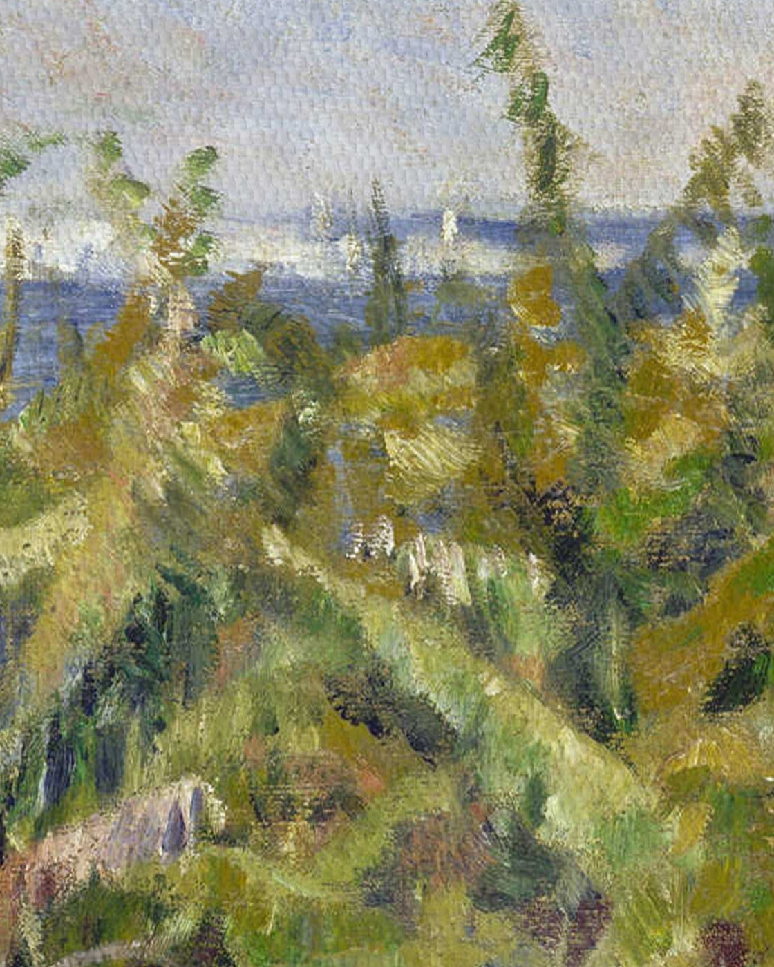 canvas