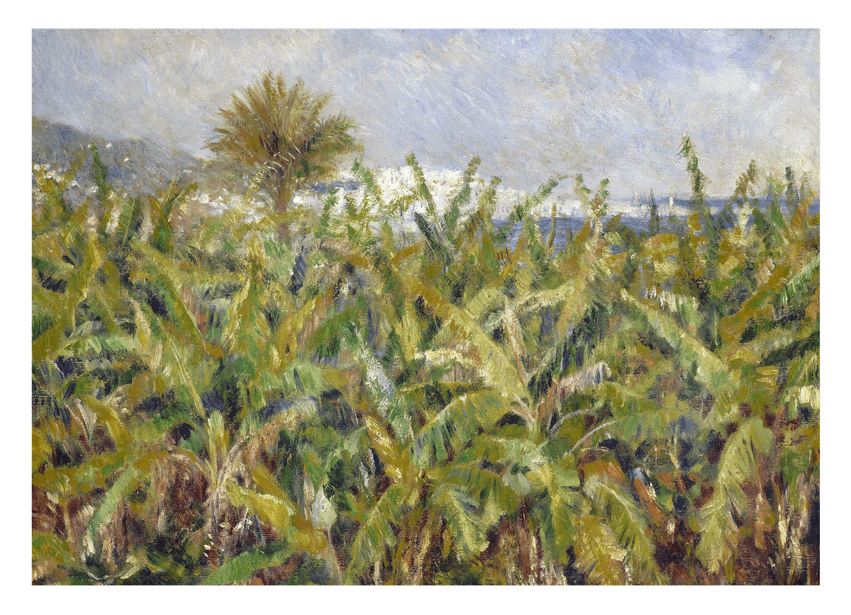 Pierre-Auguste Renoir - Field with Banana Trees