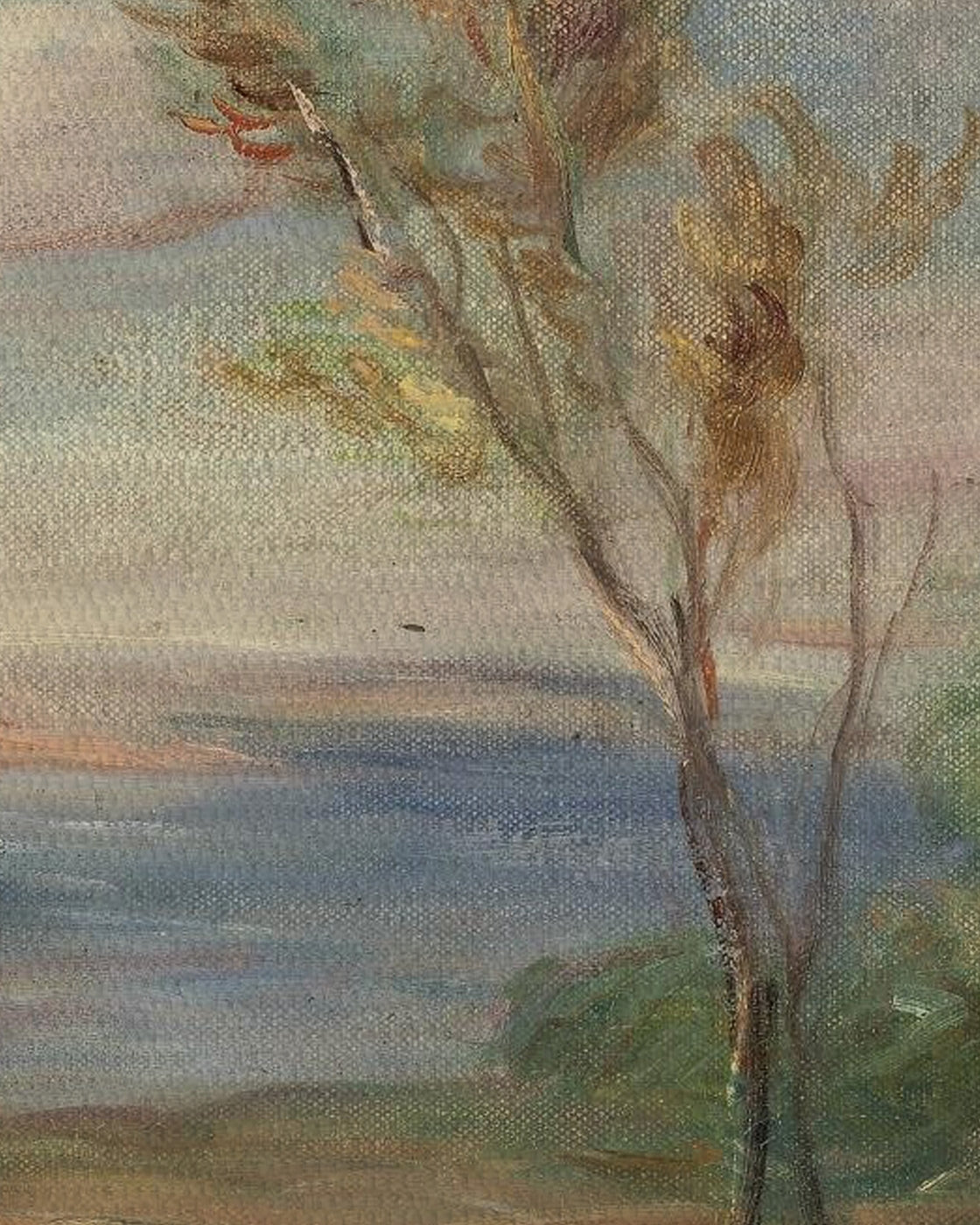 canvas