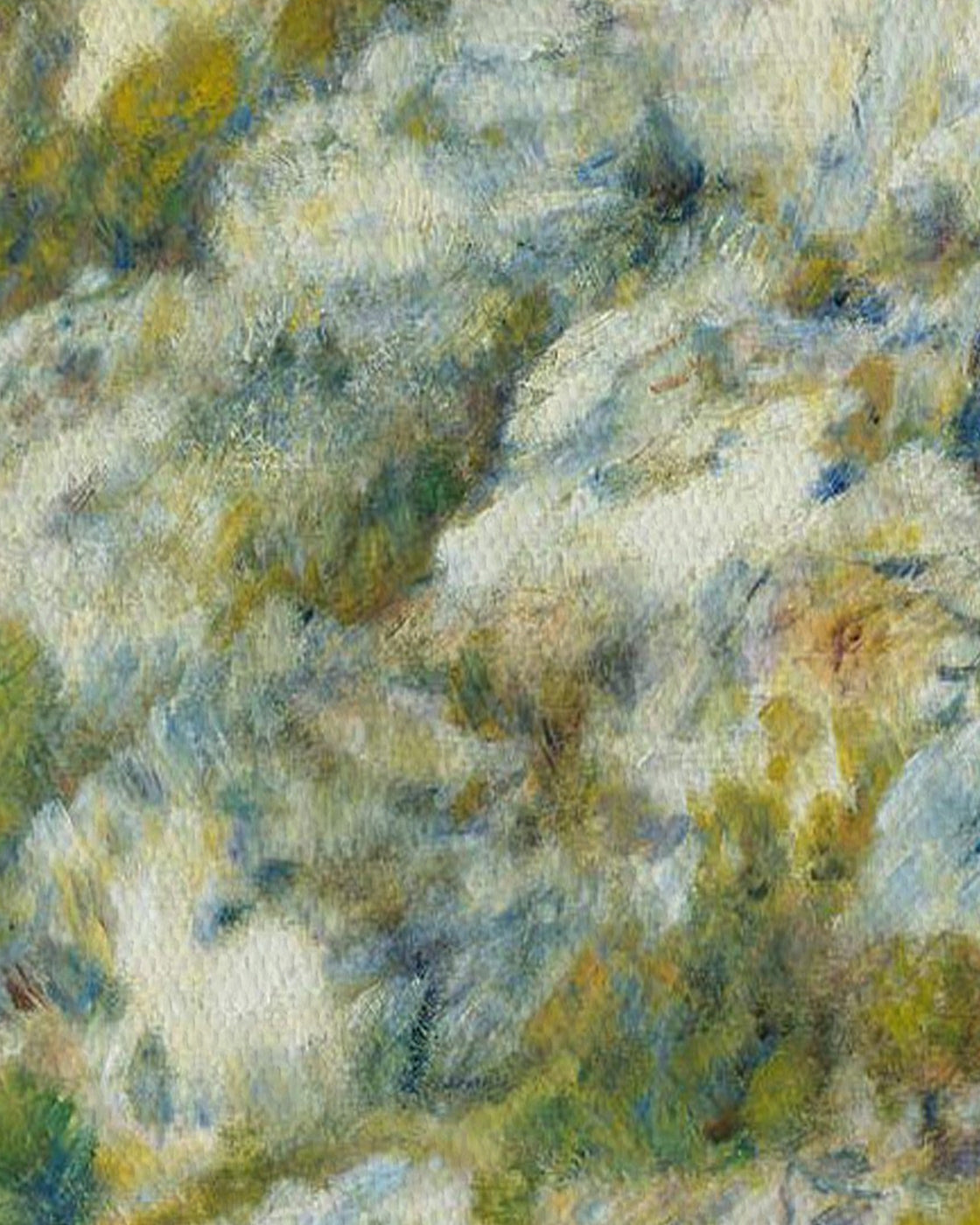 canvas