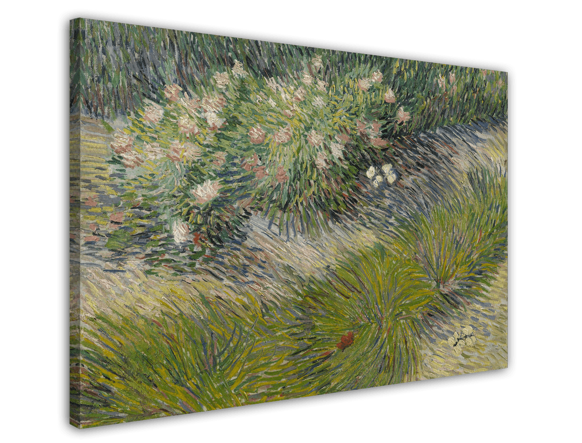 stretched-canvas