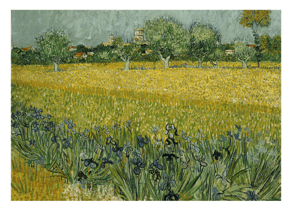 Vincent van Gogh - Feld mit Blumen in der Nähe von Arles