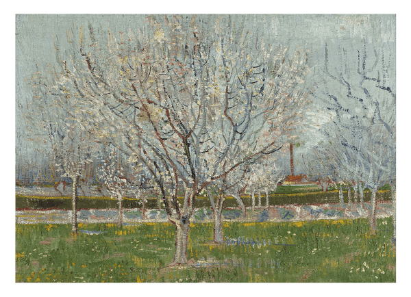 Vincent van Gogh - Blühender Obstgarten Pflaumenbaum