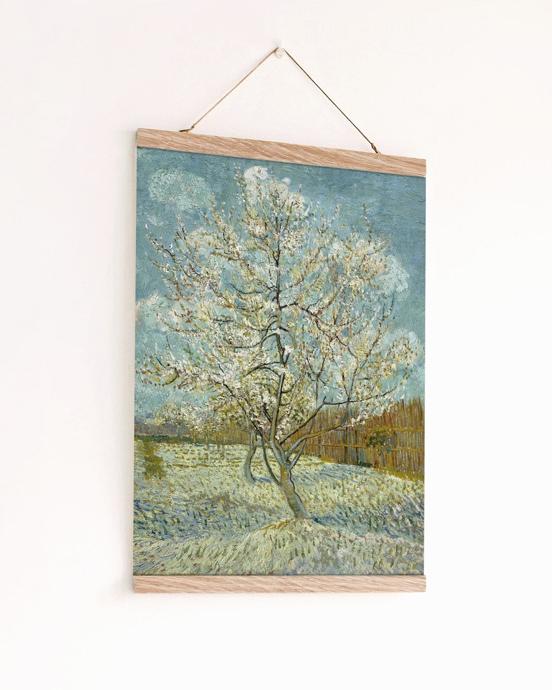 canvas