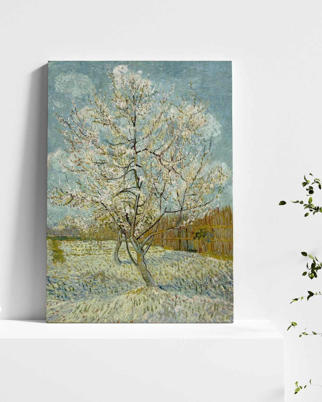 stretched-canvas
