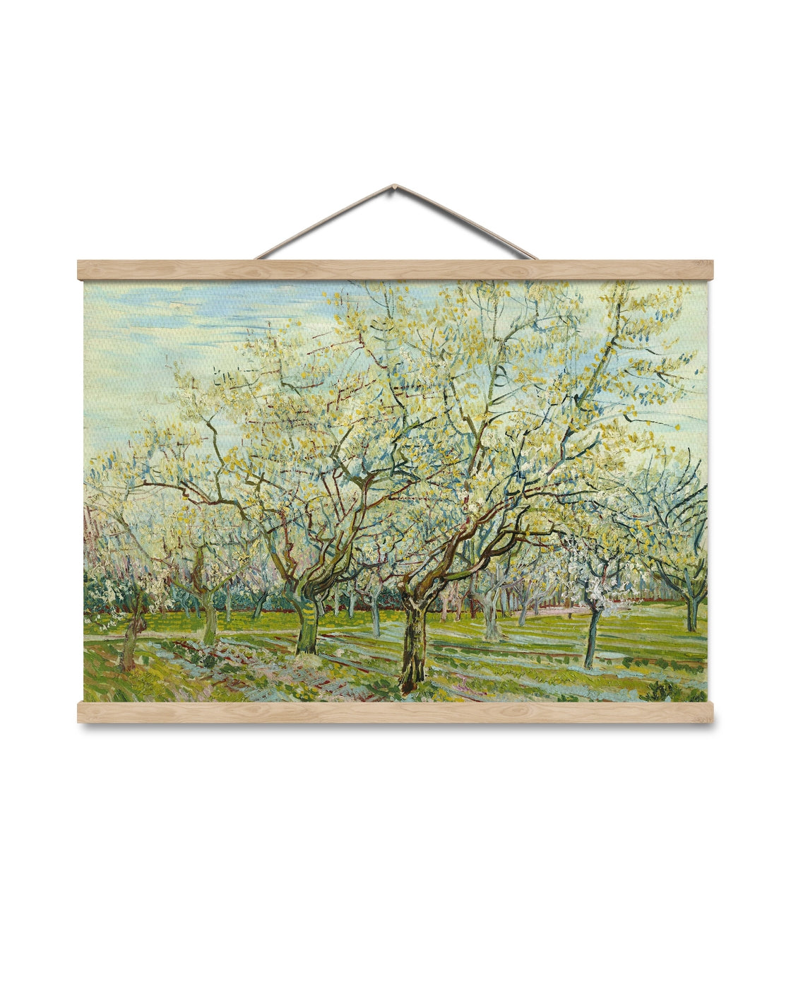 canvas