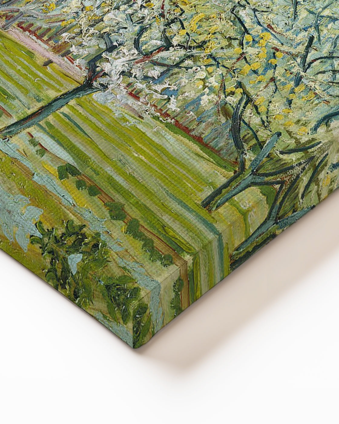 stretched-canvas