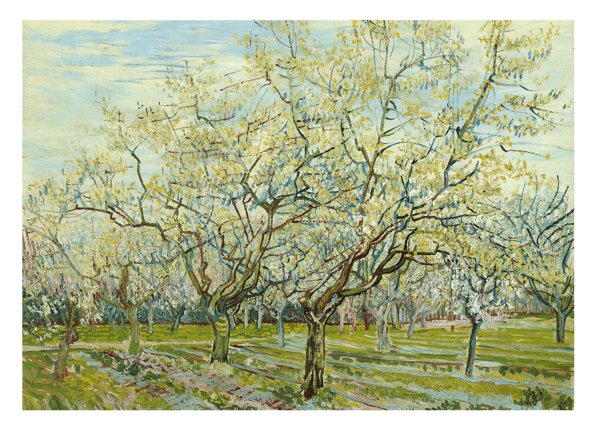 Vincent van Gogh - Der weiße Obstgarten