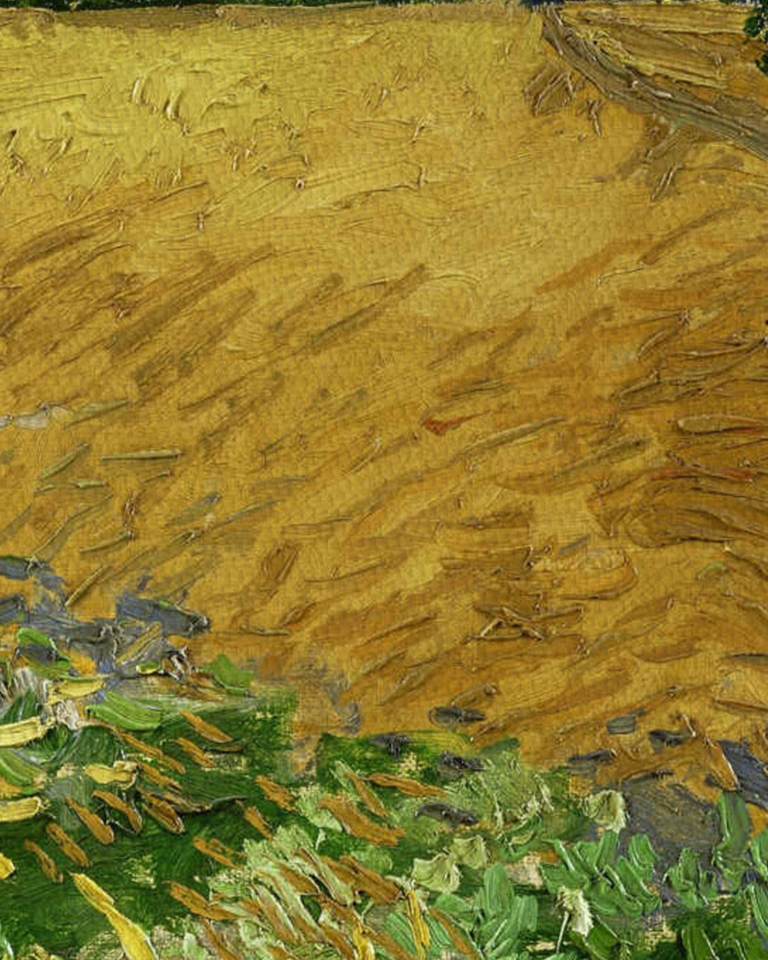canvas