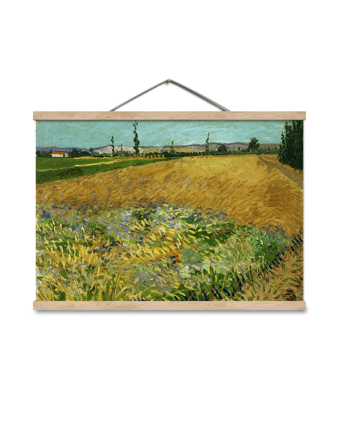 canvas