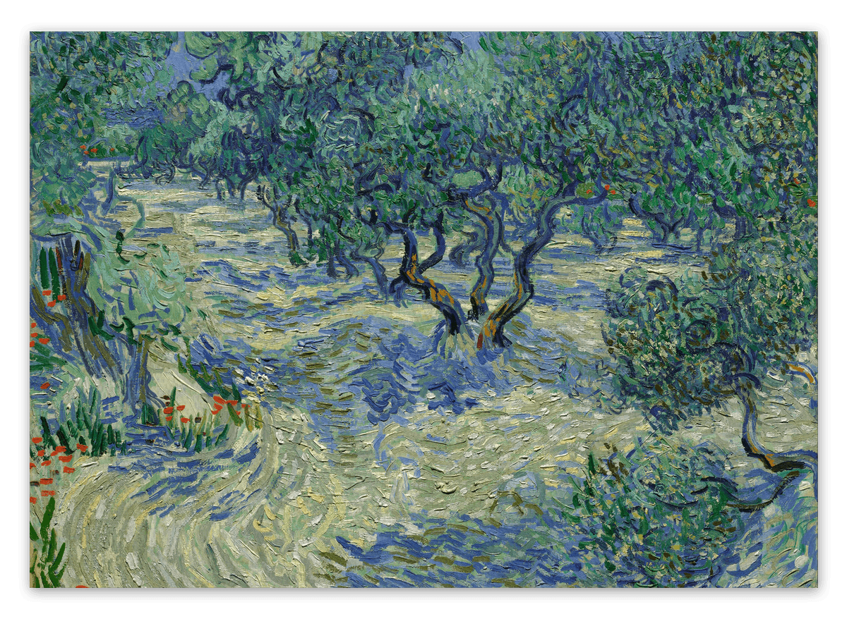 canvas
