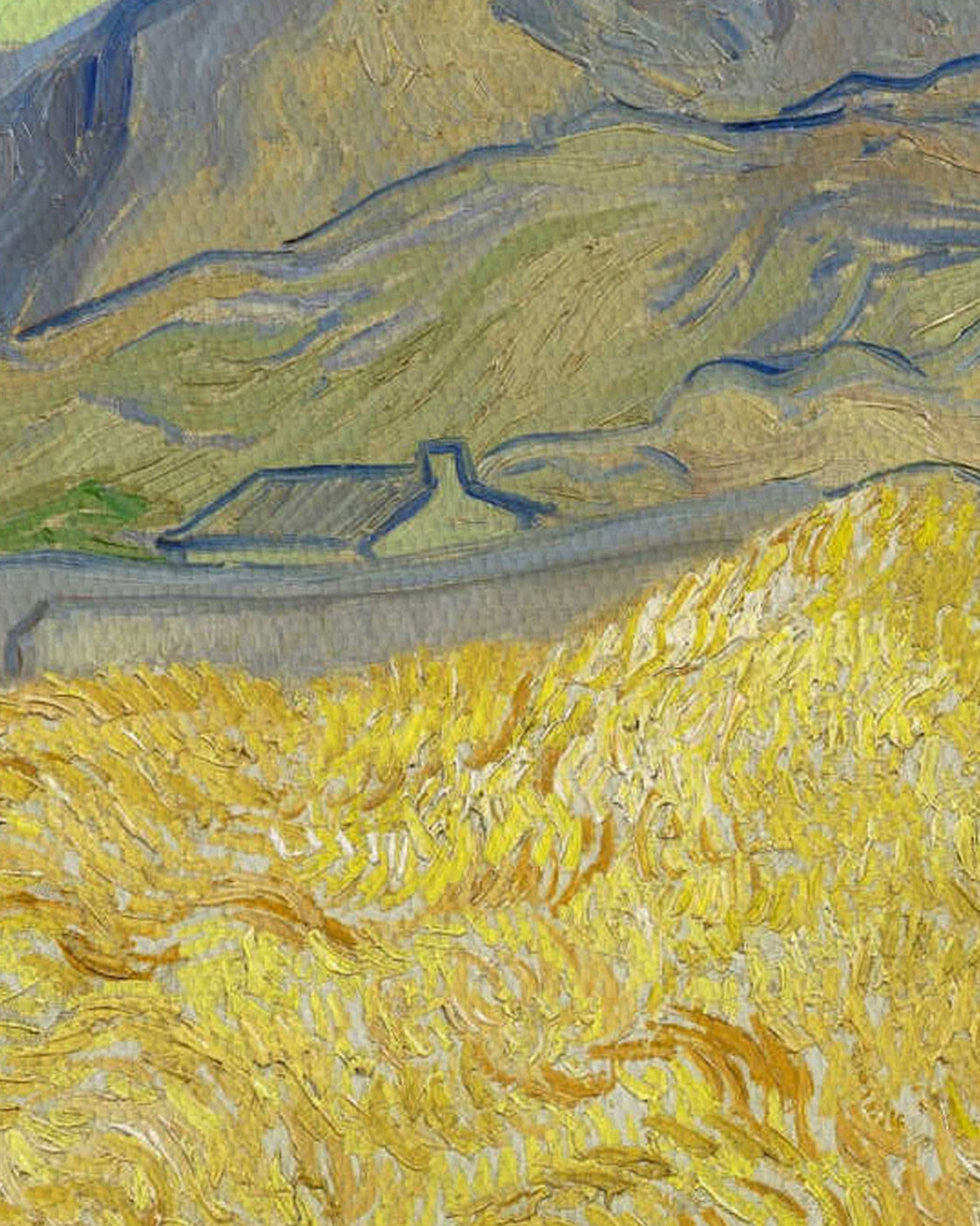 canvas