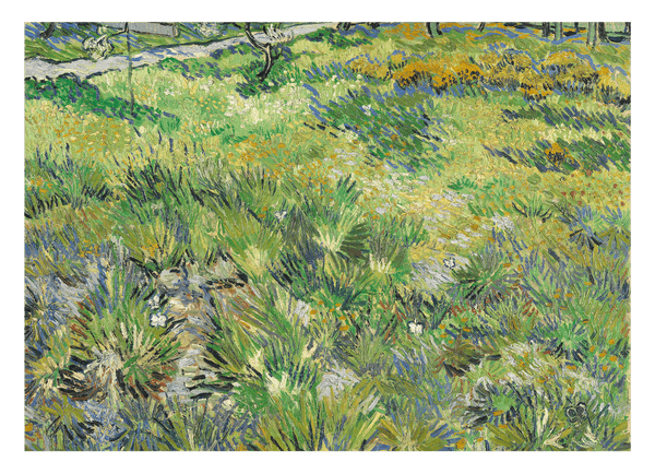 Vincent van Gogh - Hohes Gras mit Schmetterlingen