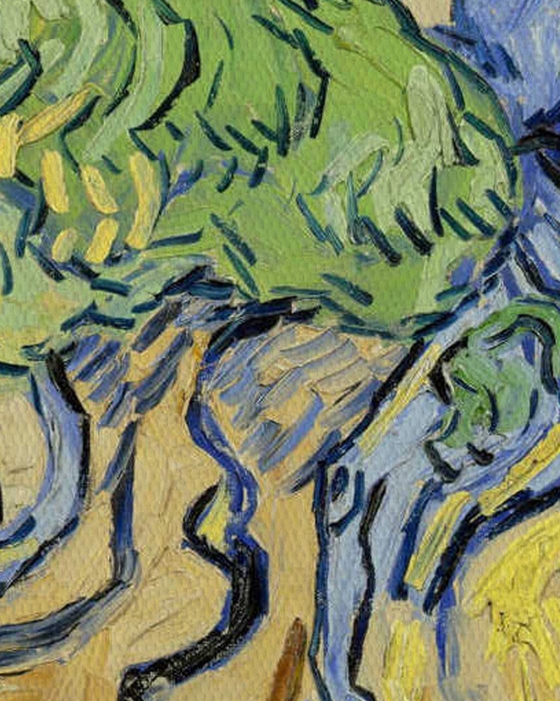 canvas