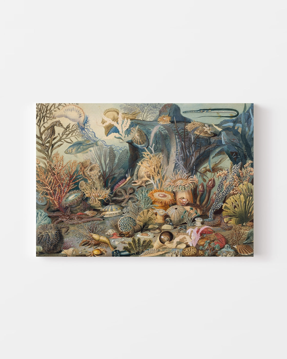 stretched-canvas