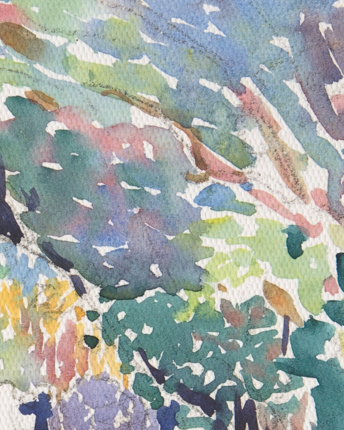canvas