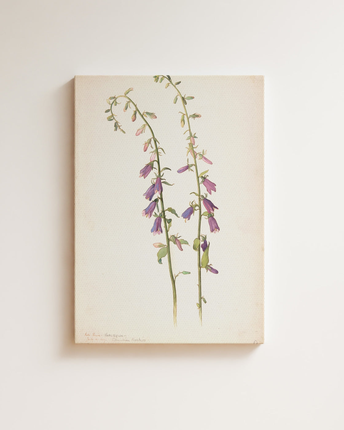 stretched-canvas