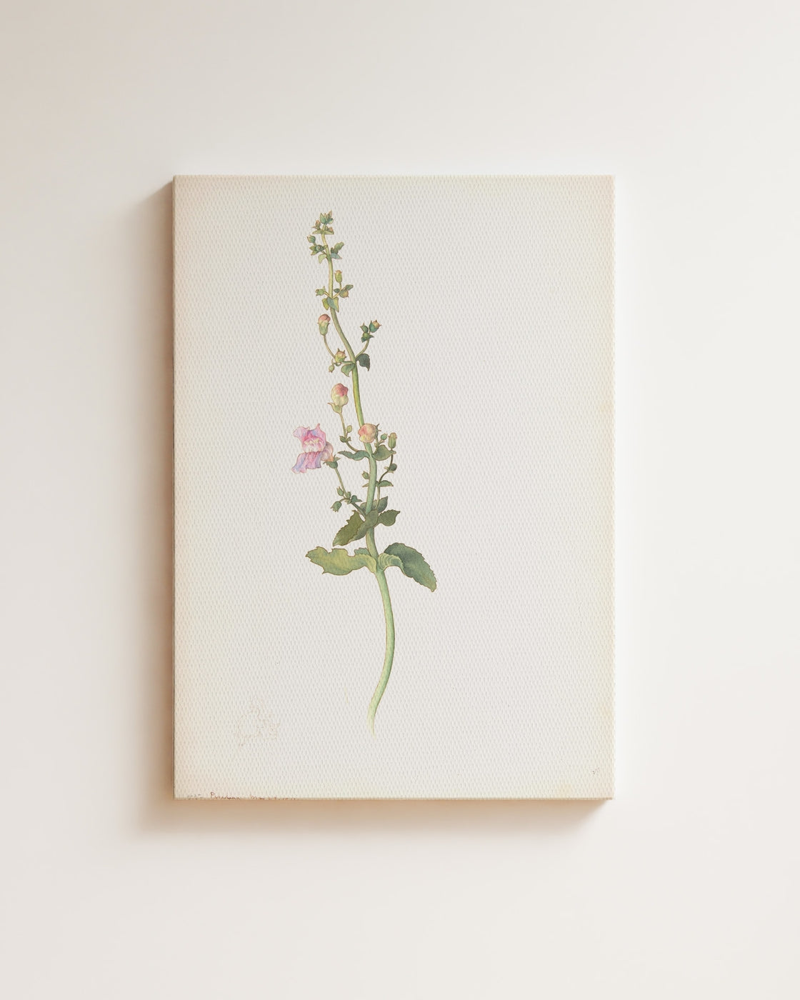 stretched-canvas