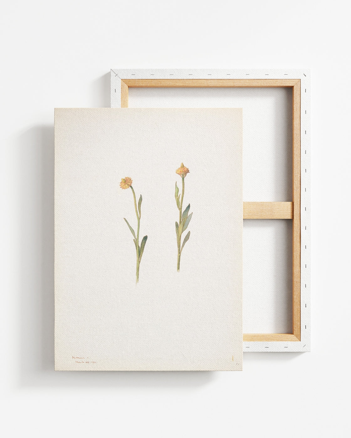 stretched-canvas