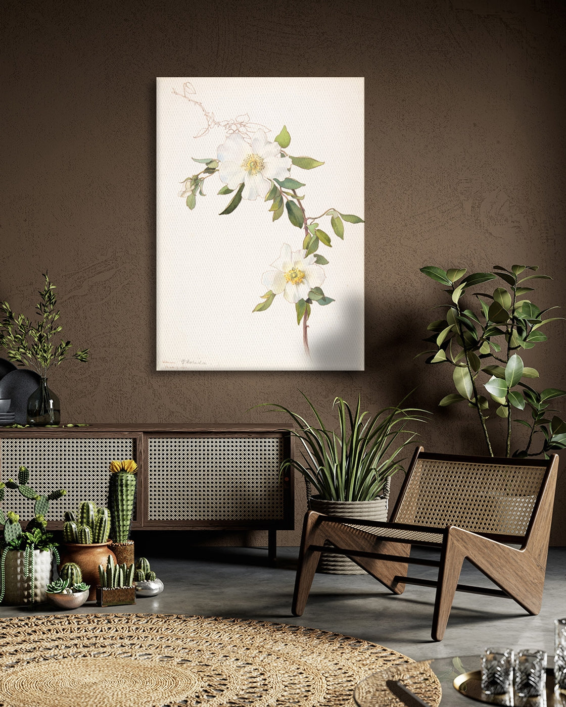 stretched-canvas