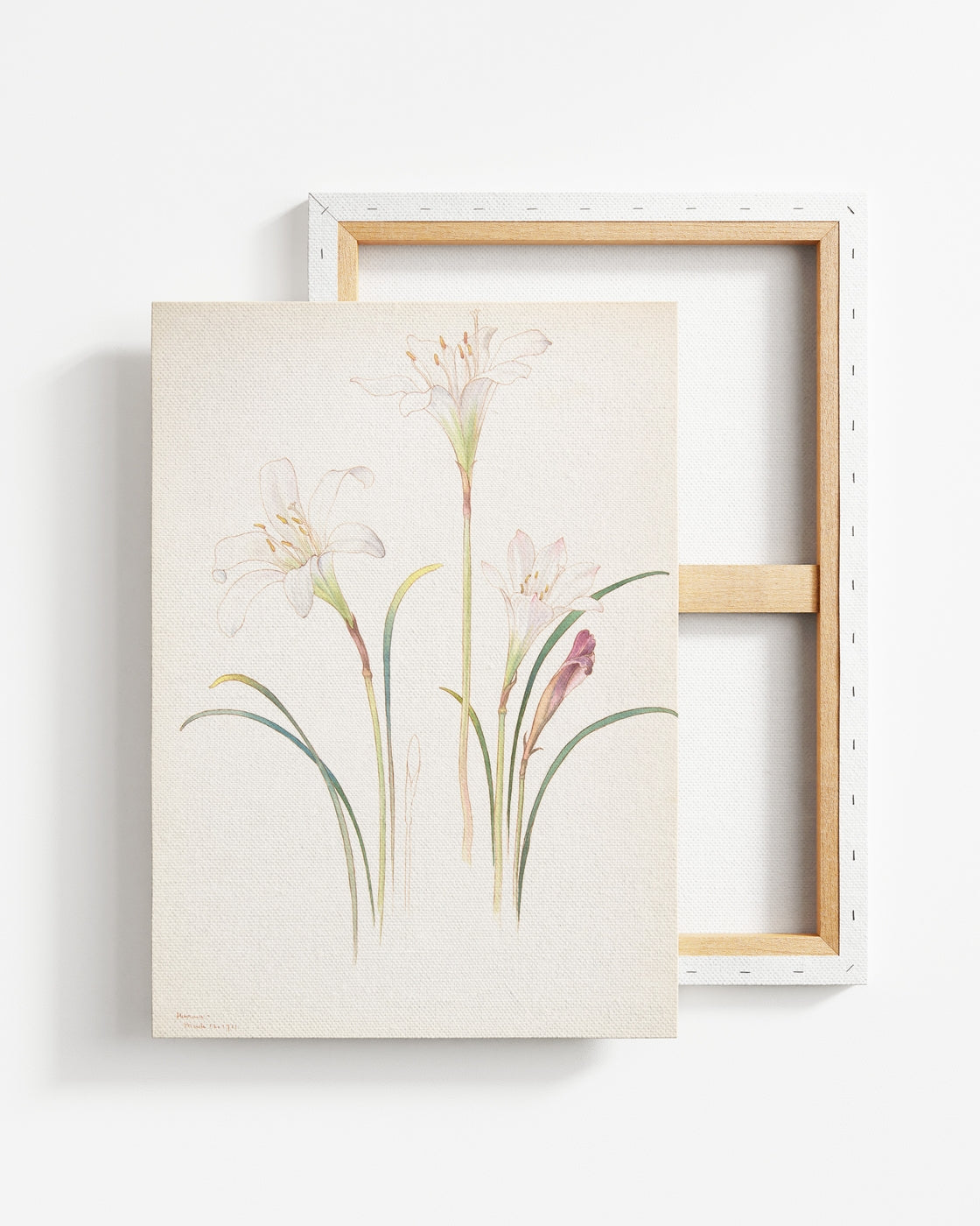 stretched-canvas