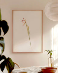 After Hover: Margaret Neilson Armstrong - Red and White Orchid