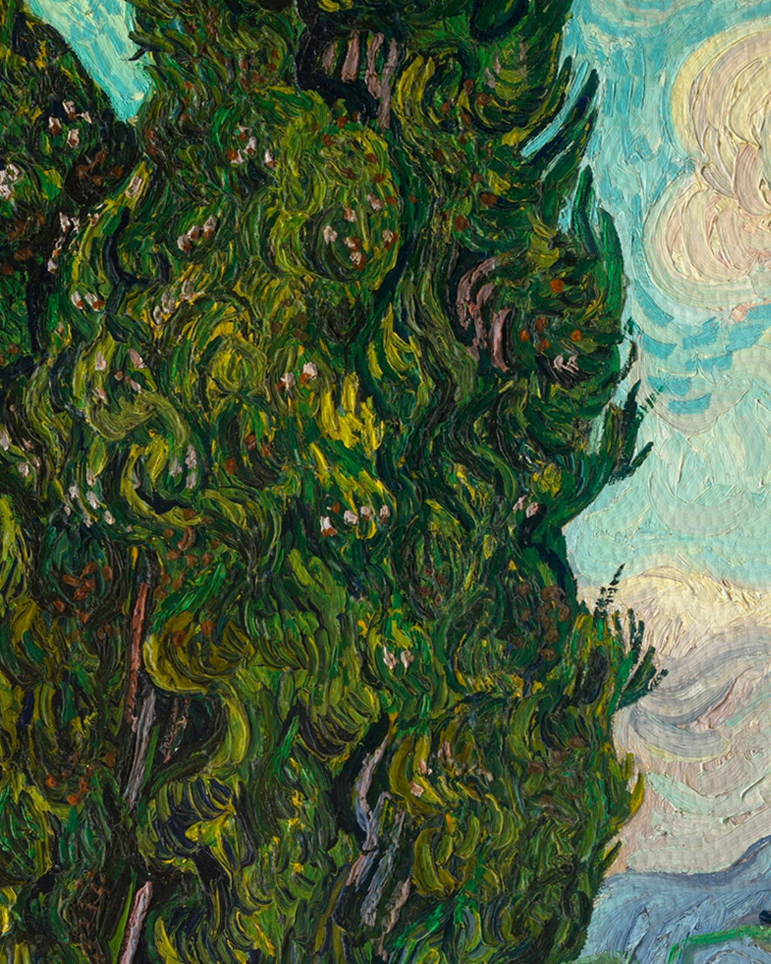 canvas