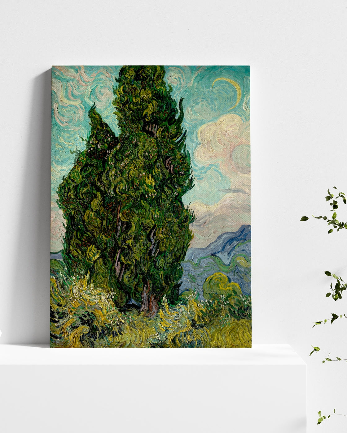 stretched-canvas