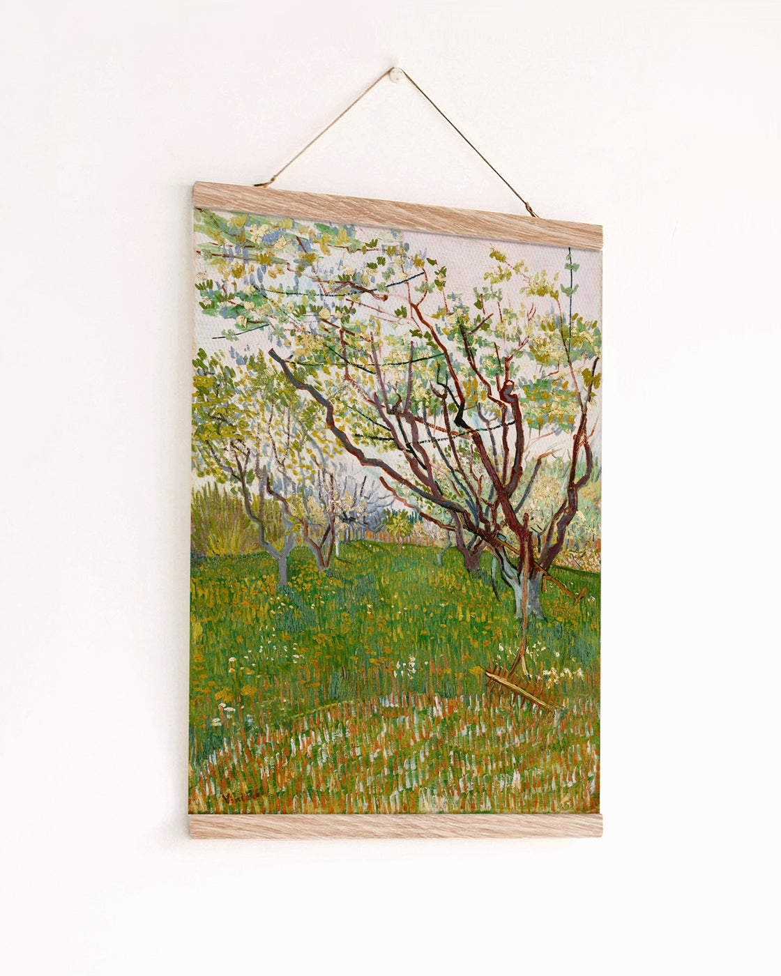 canvas