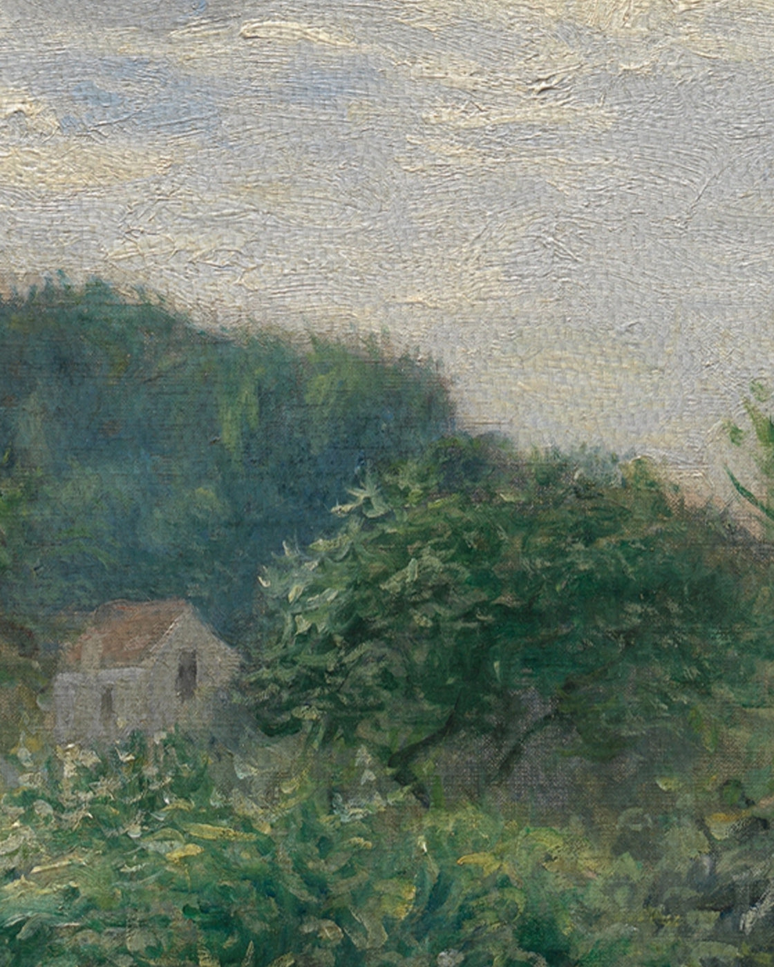 canvas