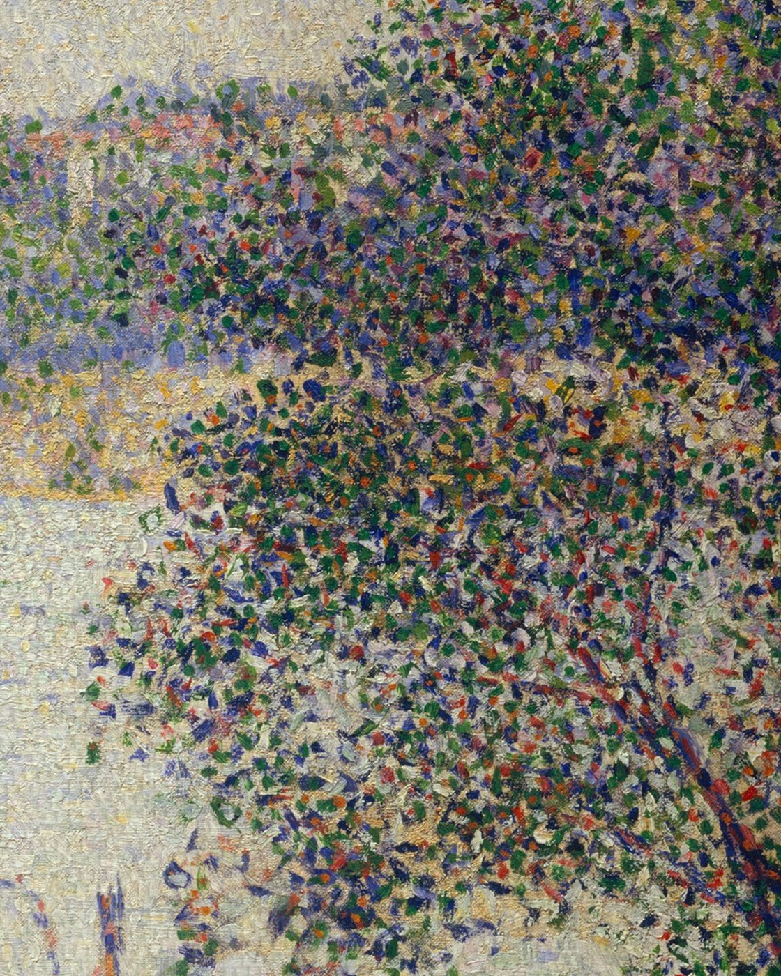 canvas