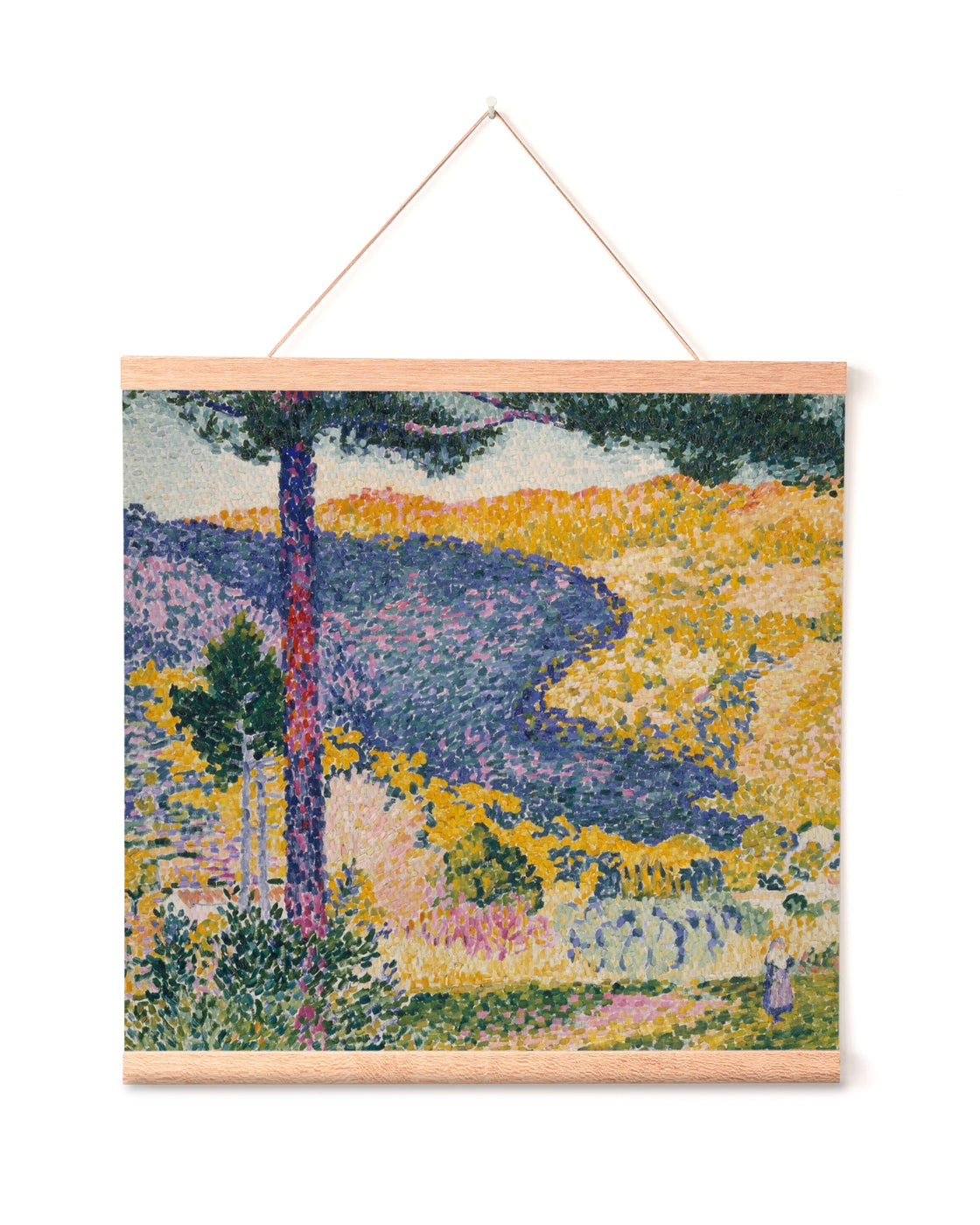 canvas