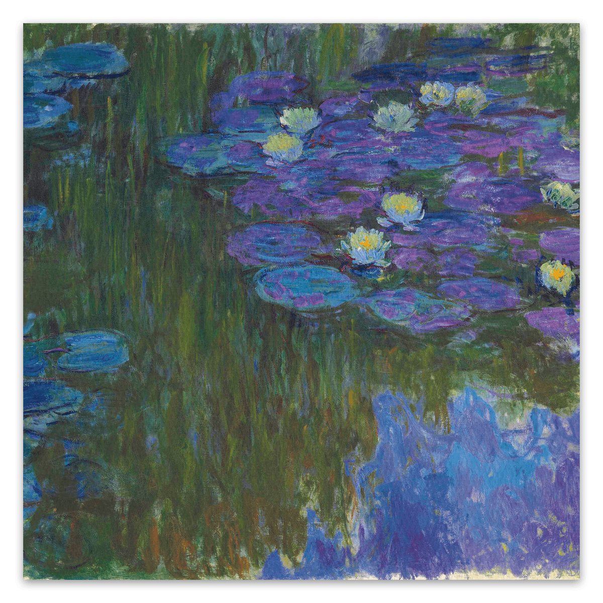 canvas