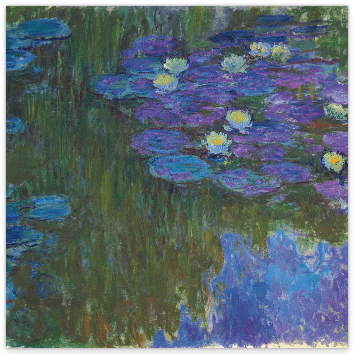Claude Monet - Seerosen in voller Blüte