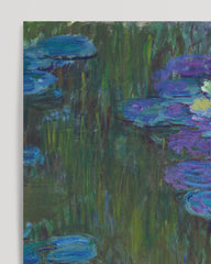 After Hover: Claude Monet - Water Lilies in Full Bloom