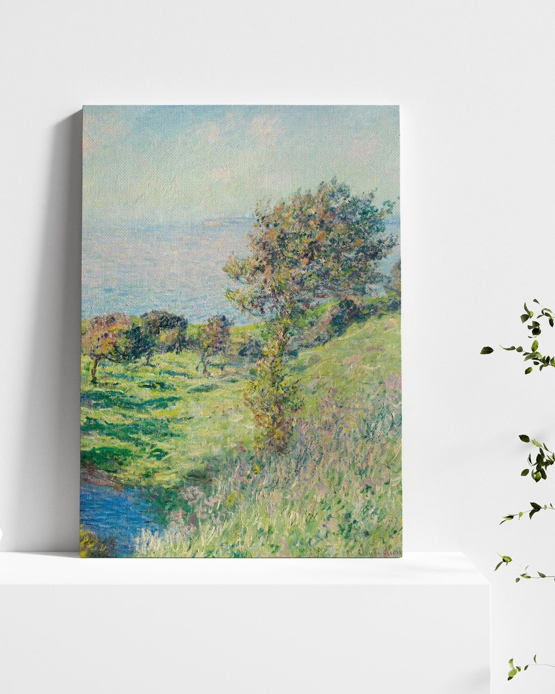 stretched-canvas