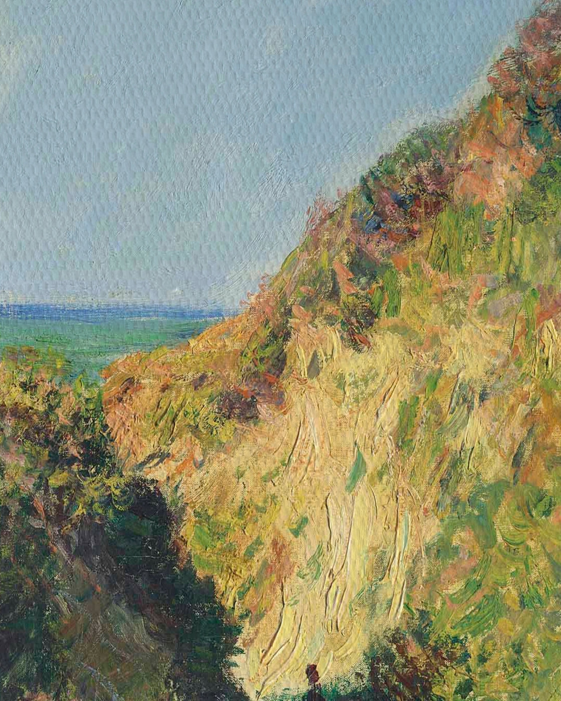 canvas