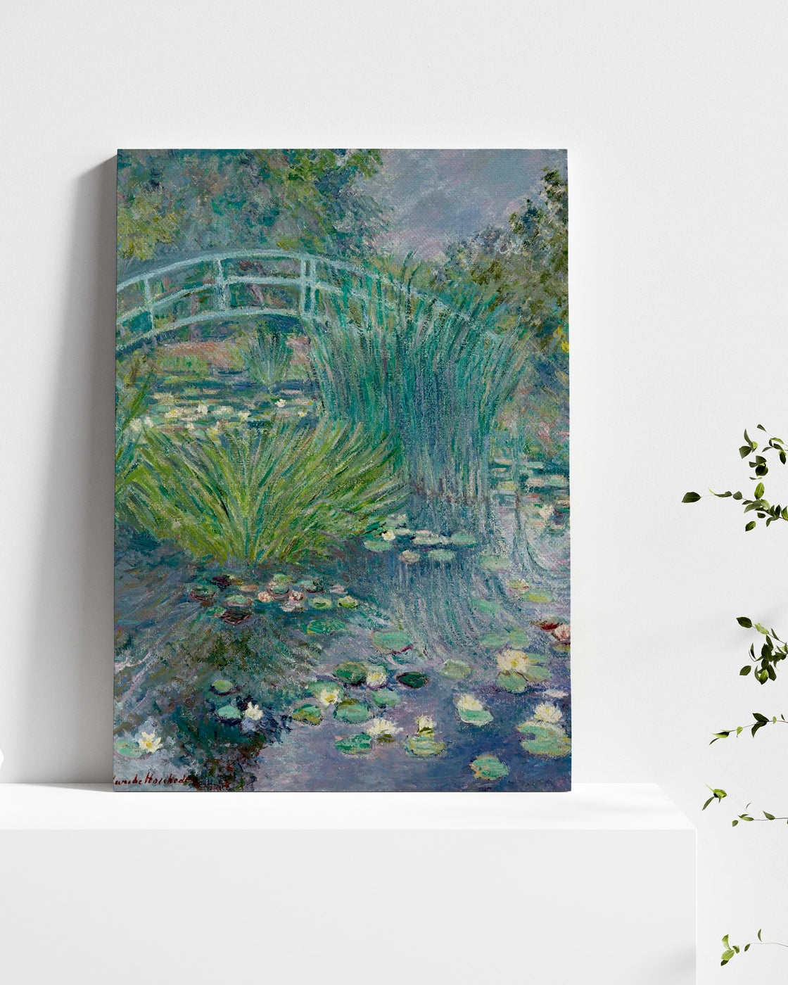 stretched-canvas