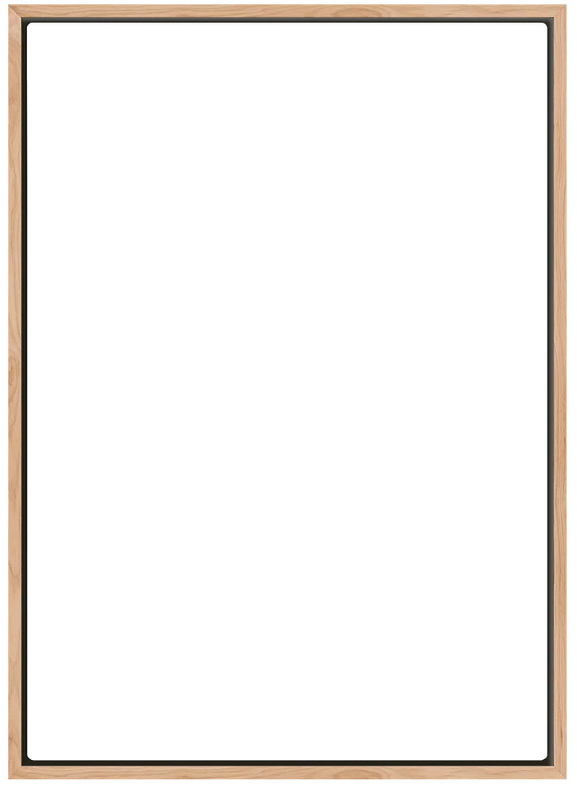 overlay_image_l