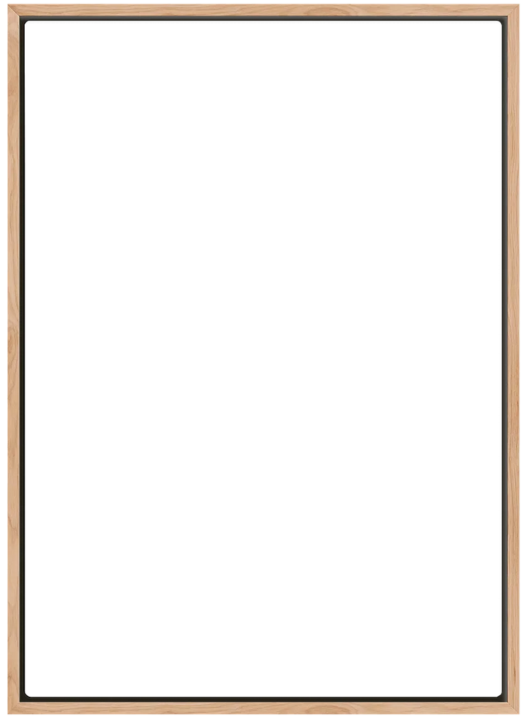overlay_image_l