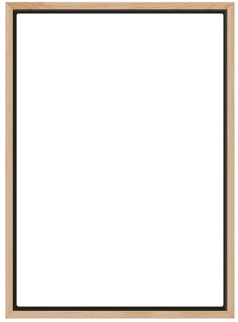 overlay_image_m