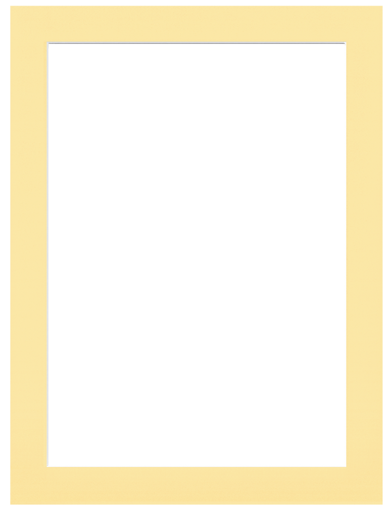 overlay_image
