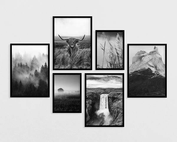 Set of 6 posters: "Nature in black and white"