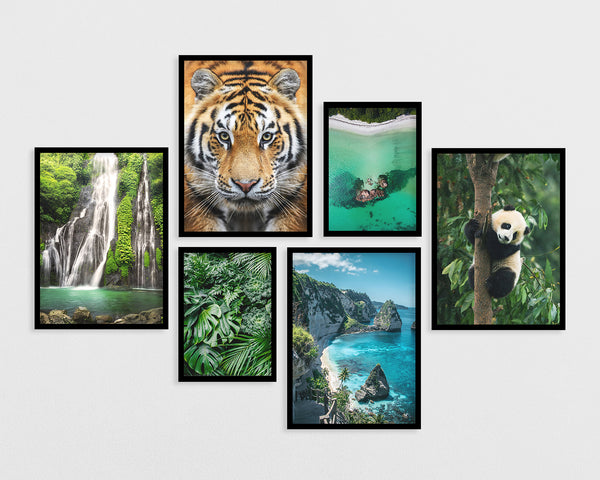 Set of 6 posters: "Southeast Asian Nature"