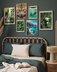 After Hover: Set of 6 posters: "Southeast Asian Nature"